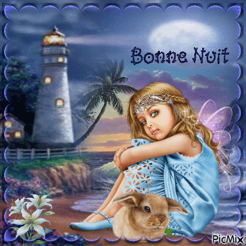 bonne Nuit - Бесплатный анимированный гифка