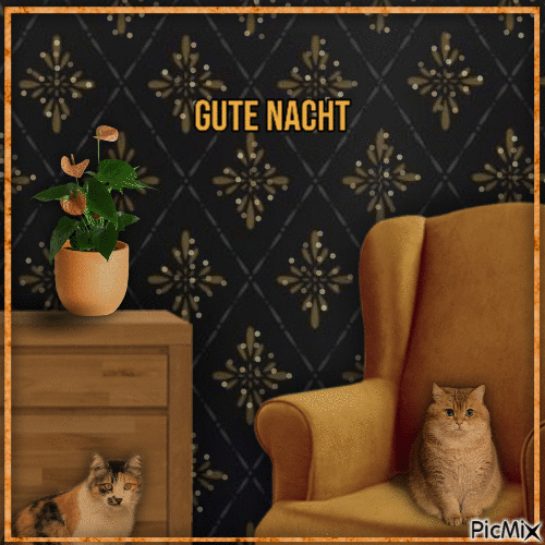 Gute Nacht - 無料のアニメーション GIF