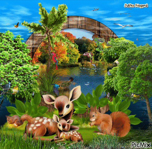 Wonderful animals on an island! - Animovaný GIF zadarmo