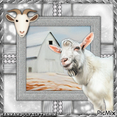 {{White Goat}} - Ücretsiz animasyonlu GIF