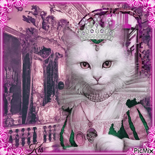Chatte reine - Free animated GIF