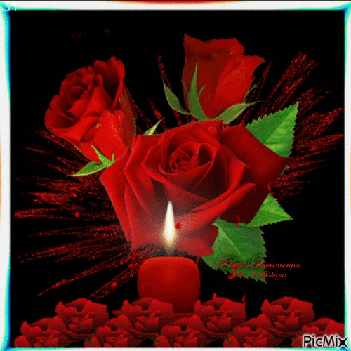 Rosas vermelhas - Бесплатни анимирани ГИФ