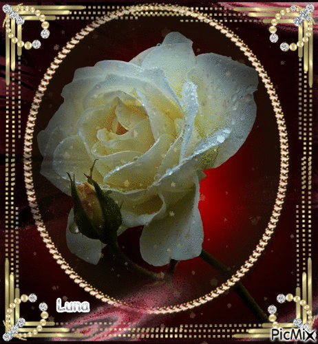 ArtStation - 🌹 Rosa Branca 🌹