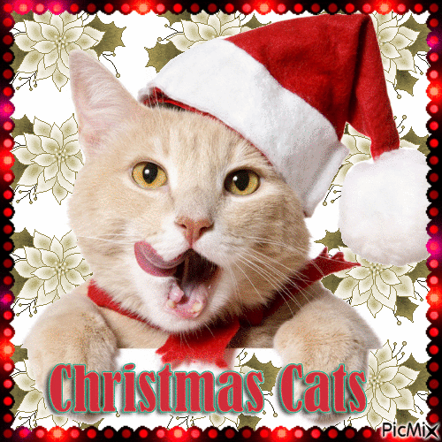 Christmas cats - Безплатен анимиран GIF