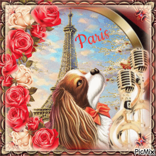 Un petit chien à Paris. - Ingyenes animált GIF