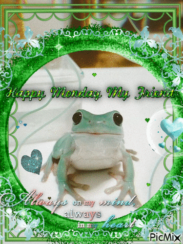 frog happy monday le frog - Bezmaksas animēts GIF