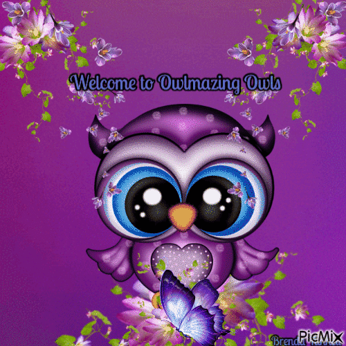 OWL - Nemokamas animacinis gif