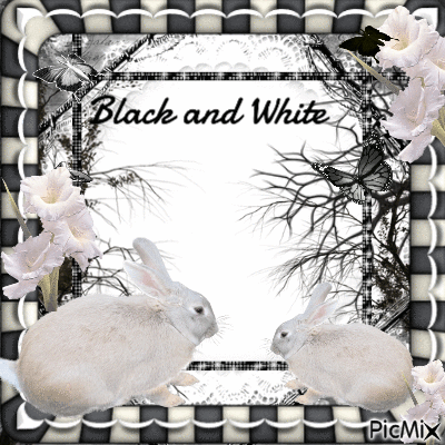 black n white - GIF animado grátis