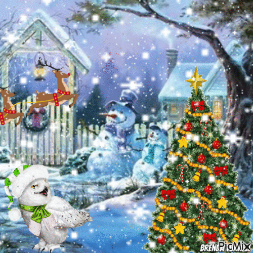 merry Christmas owl - GIF animé gratuit