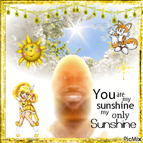 lebron james you are my sunshine - Zdarma animovaný GIF