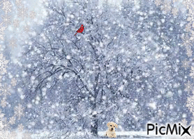 Snowy Day! - Bezmaksas animēts GIF