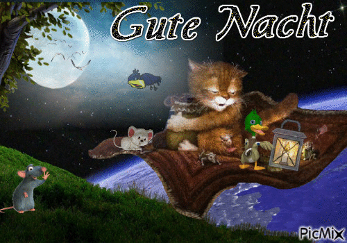 gute nacht - GIF animado gratis