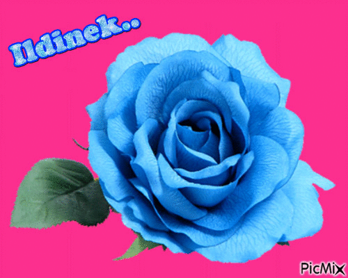 Kék rózsa02 - Gratis animerad GIF