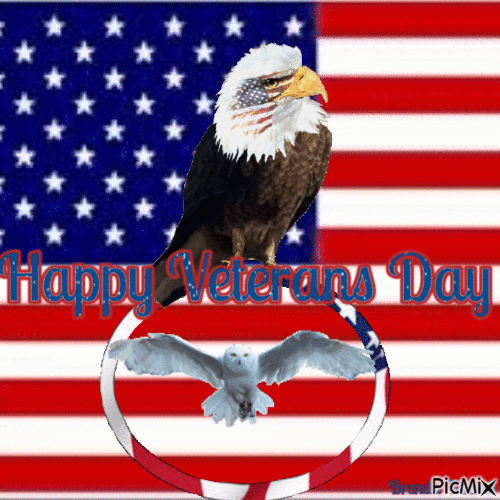 veterans day owl - Free animated GIF