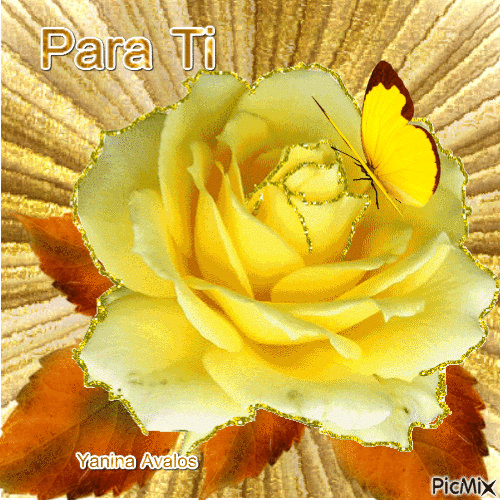 yellow rose - Bezmaksas animēts GIF