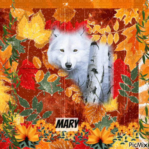 Loup blanc - Free animated GIF