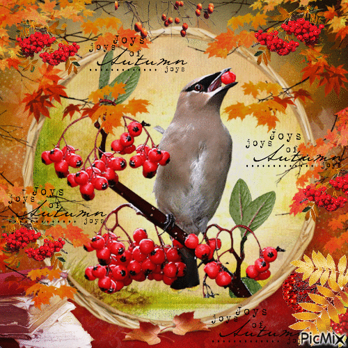 Autumn bird - GIF animé gratuit