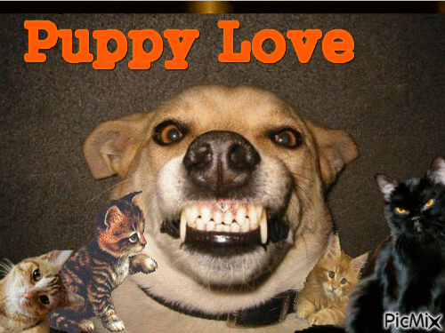 puppy Love - Nemokamas animacinis gif