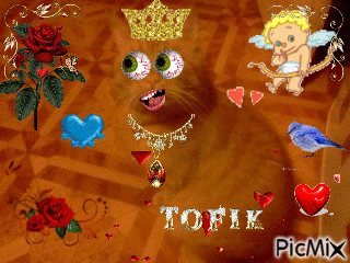 Tofciu - Gratis animerad GIF