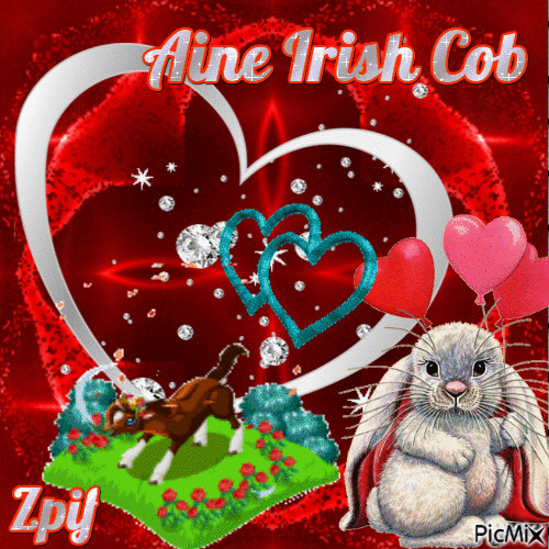 Aine Irish Cob - GIF animate gratis