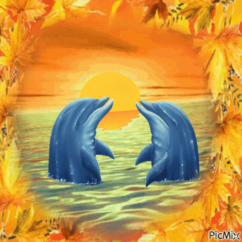 Autumn Dolphins - Free animated GIF