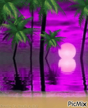 Beautiful Beach - Free animated GIF