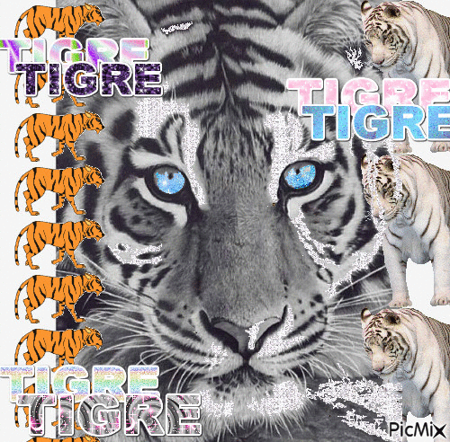Tigre - Ilmainen animoitu GIF