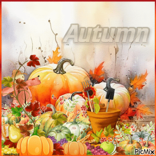 Herbstkürbisse - 無料のアニメーション GIF