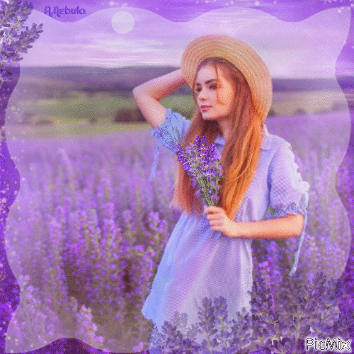 Girl in lavender field/contest - GIF animado grátis
