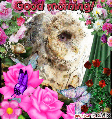 GOOD MORNING OWL 14 - Бесплатни анимирани ГИФ