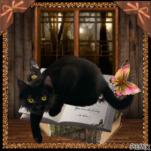 My black cat - Besplatni animirani GIF