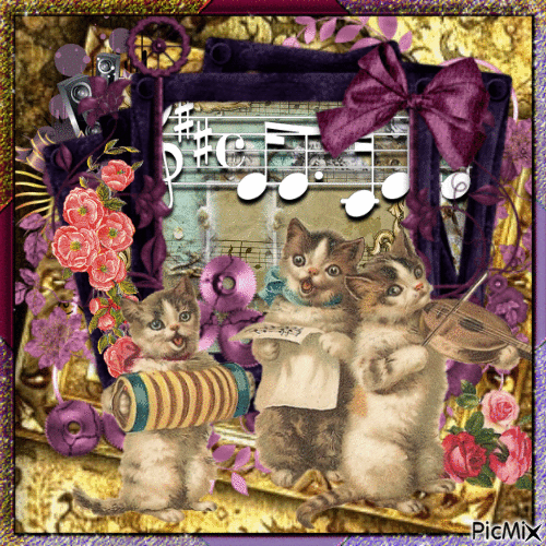 music cats - Gratis animeret GIF