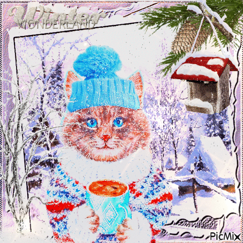 Kätzchen im Winter, mit Mütze und Pullover - GIF animate gratis