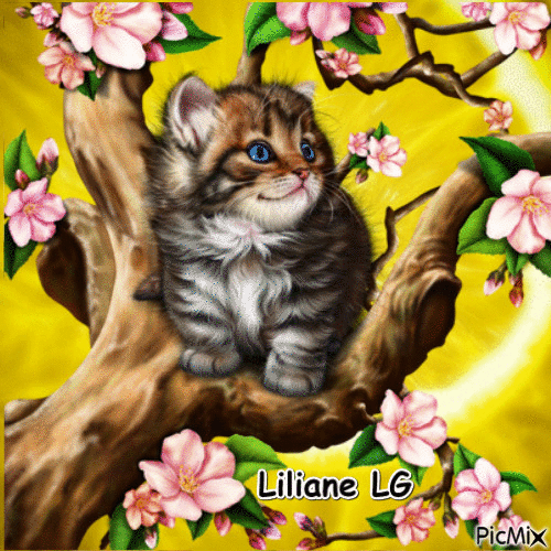 Joli chat dans un arbre en fleurs - Kostenlose animierte GIFs