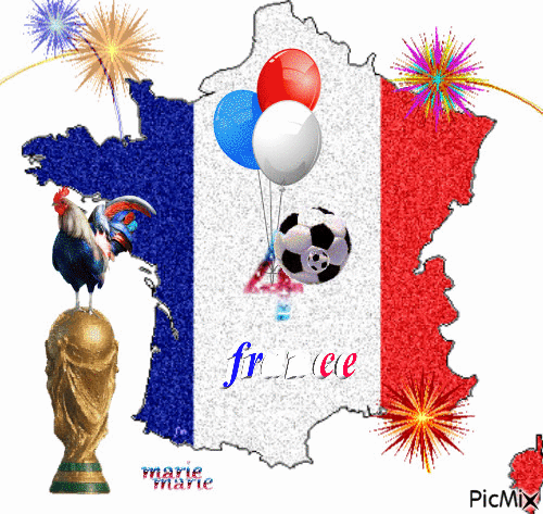 coupe du monde foot - Bezmaksas animēts GIF