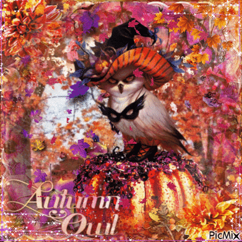 Autumn Owl - Gratis animerad GIF