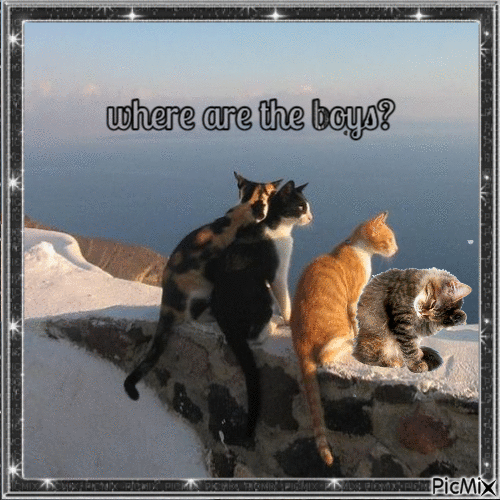 we are looking for the boys. - Free animated GIF
