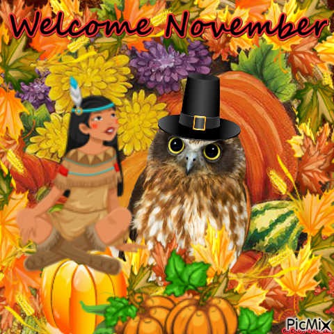 WELCOME NOVEMBER OWL - PNG gratuit