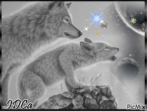 Bonsoir les loups - Animovaný GIF zadarmo
