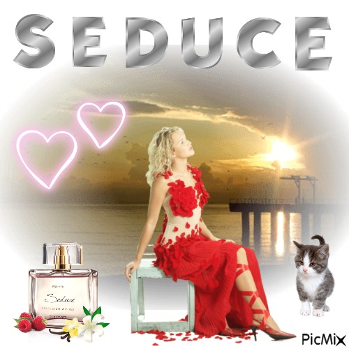 Seduce Perfume - zdarma png