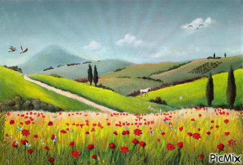 Summer in Tuscany - Free animated GIF