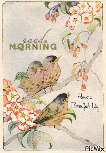 Good Morning, birds - Free animated GIF