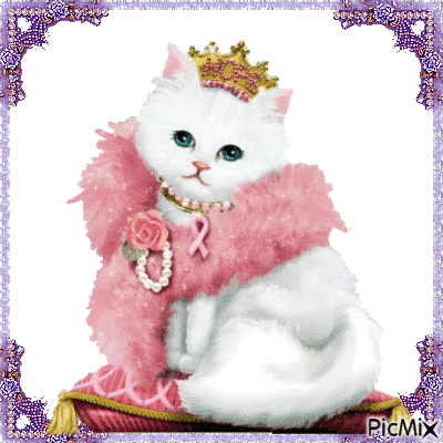 Fancy White Kitten - Δωρεάν κινούμενο GIF
