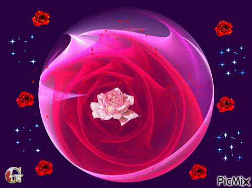 rose 6 - Besplatni animirani GIF