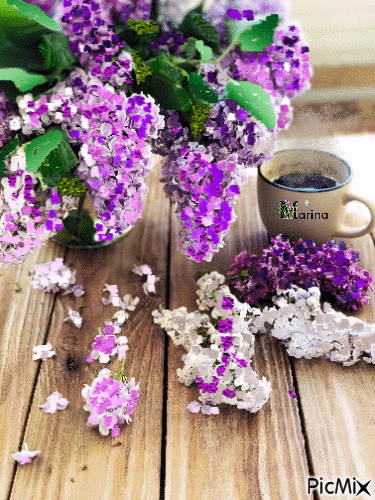 Spring, May, Lilac