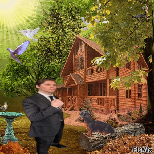 Jerma's Peaceful Cabin in the Woods - Ingyenes animált GIF