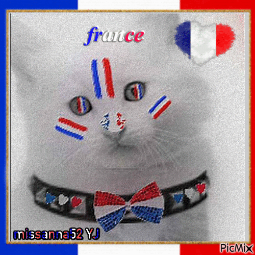tout mon soutient au peuple français qui manifeste aujourd'hui - GIF animate gratis