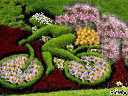la livreuse de fleur - Безплатен анимиран GIF