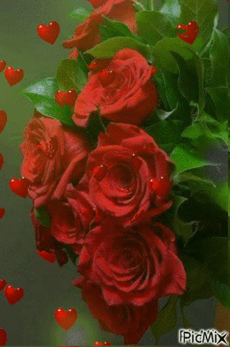 trandafiri - GIF animé gratuit