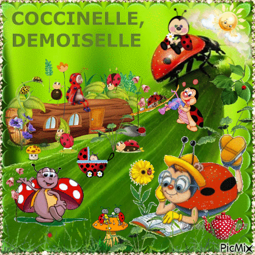 Coccinelle. - Free animated GIF